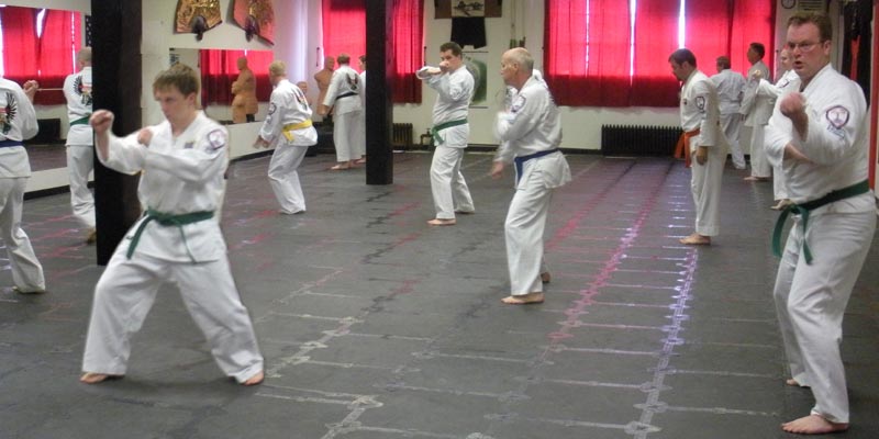 Adult Karate practice